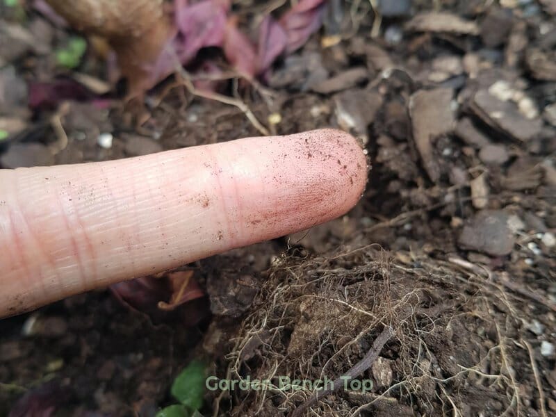 soil finger test dry results