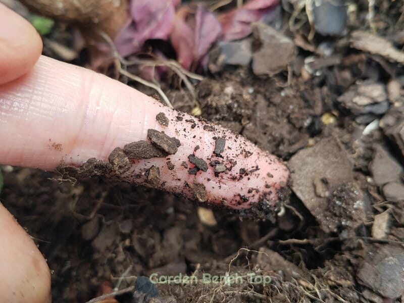 soil finger test wet results
