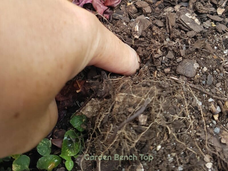 soil finger test