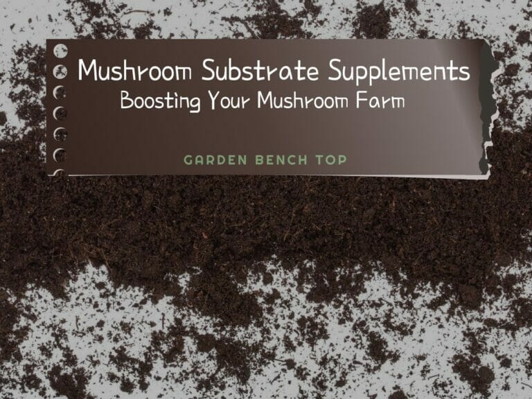 Mushroom Substrate Supplements