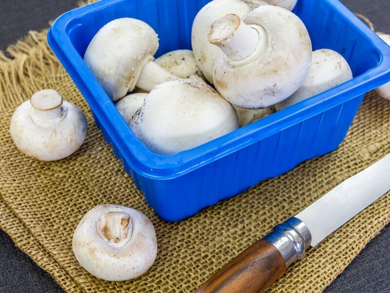 growing button mushrooms at home