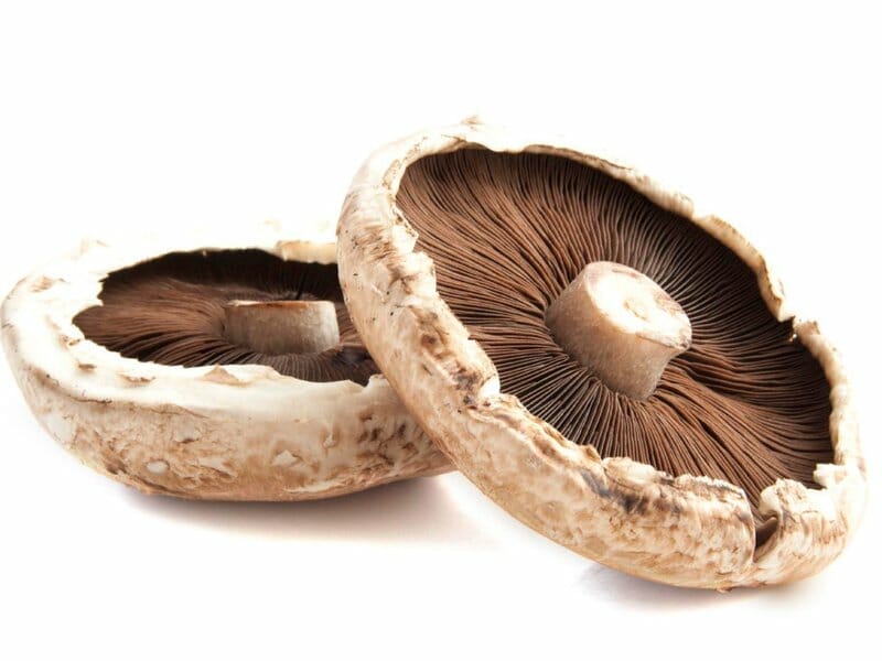 grow portobello mushrooms at home