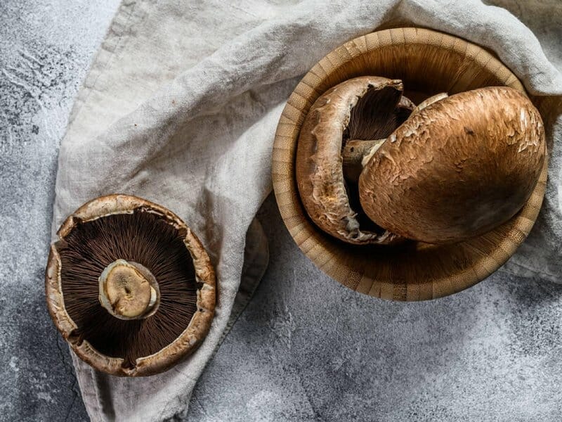 portobello mushrooms faq