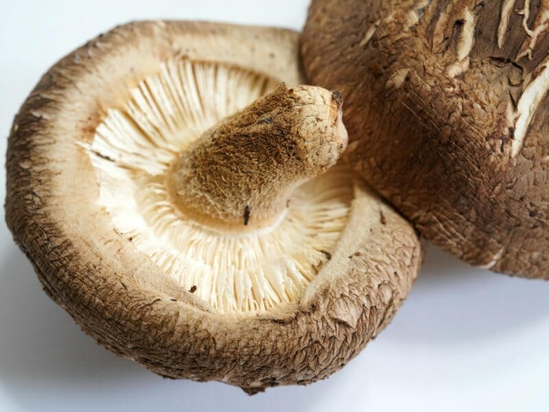 why do you discard shiitake mushroom stems