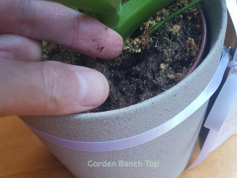 pinch test results
