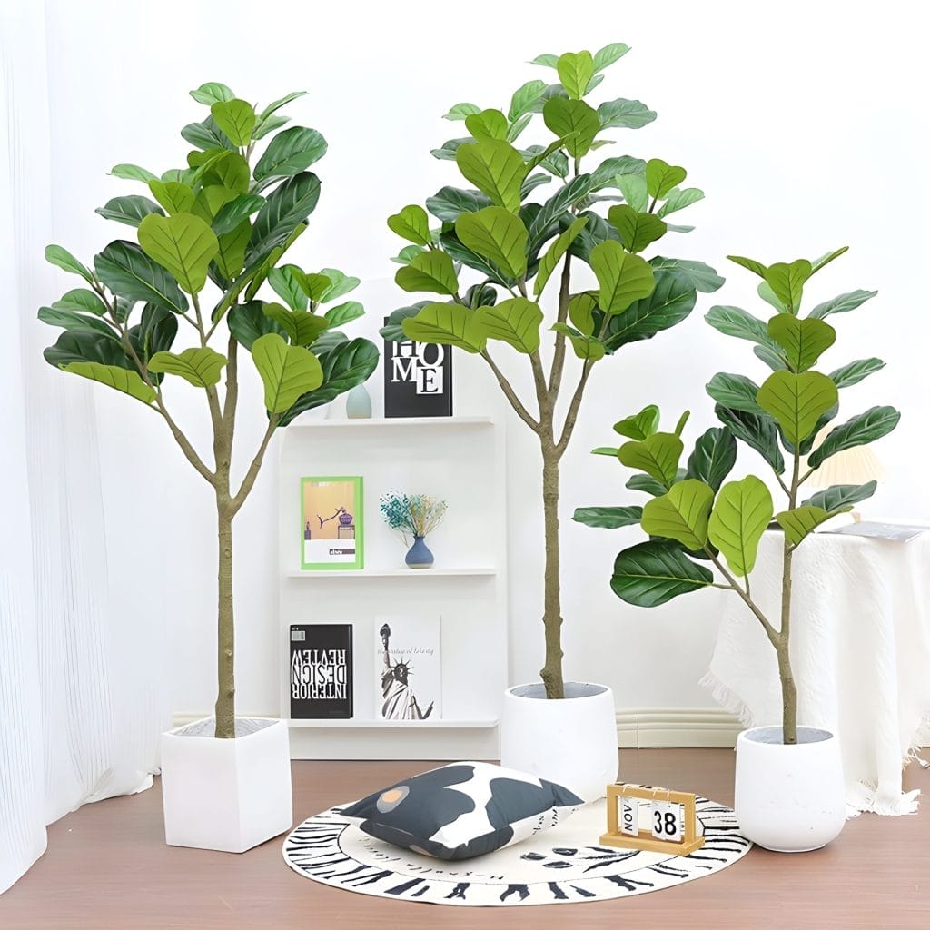 Fiddle Leaf Fig Tree