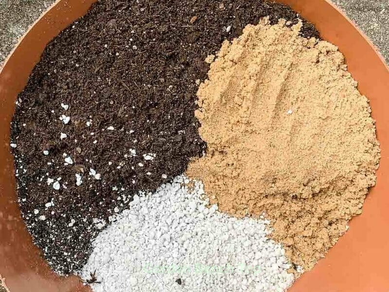 Making your own DIY succulent Soil