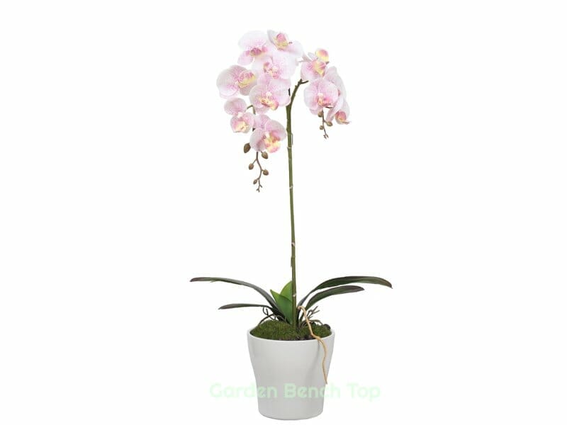 Small artificial plants