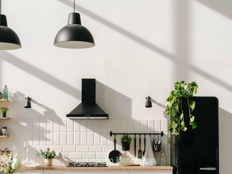 Plant on Top of Refrigerator