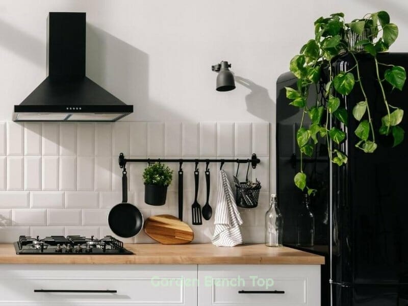pothos on fridge