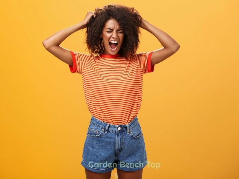 How to Get Rid of Fungus Gnats