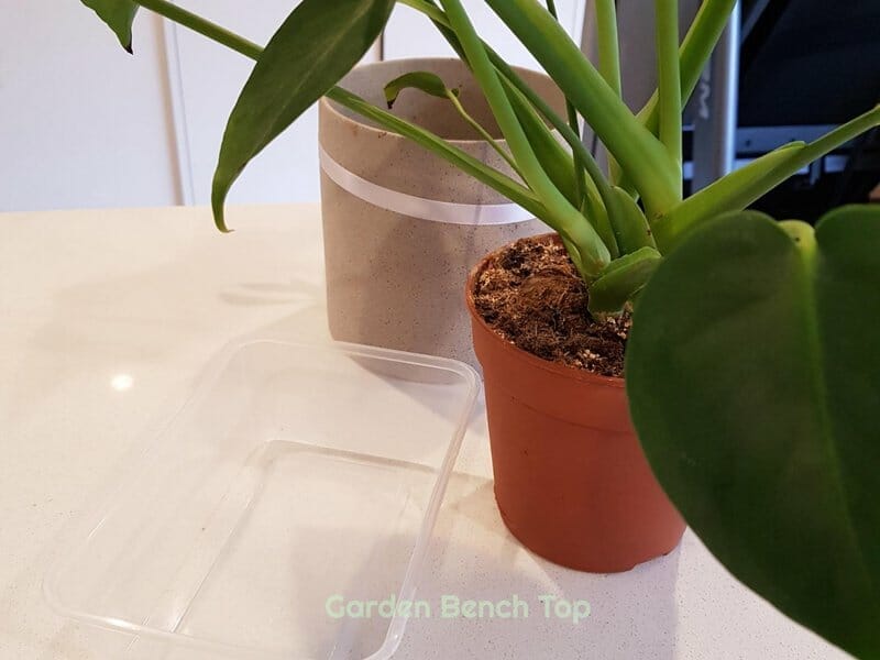 materials for bottom watering