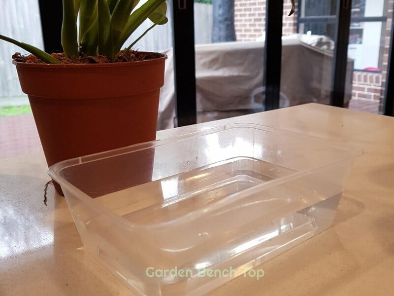 setting up bottom watering method