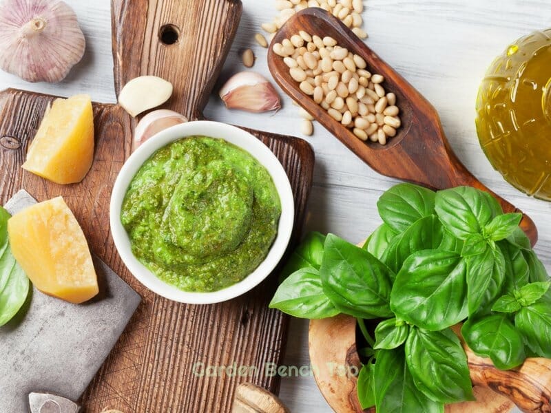 Fresh Basil Makes Wonderful Pesto
