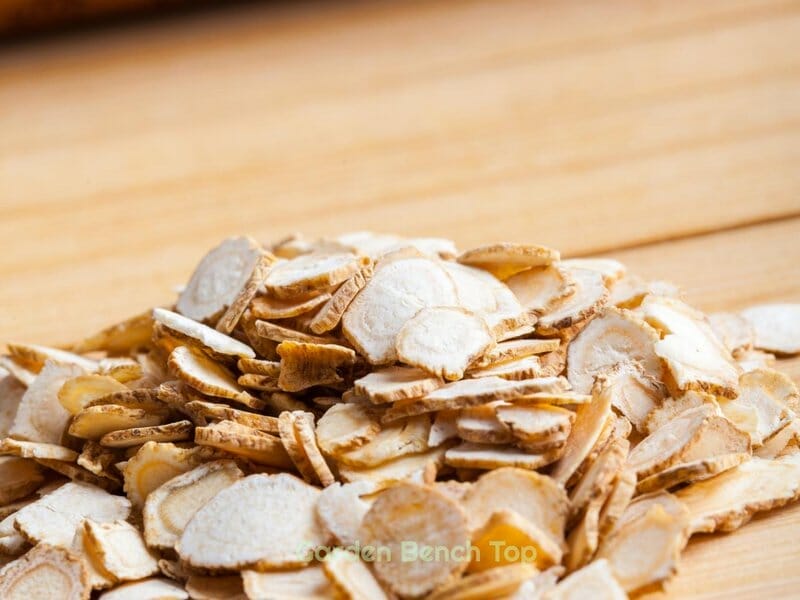 Ginseng has many health benefits