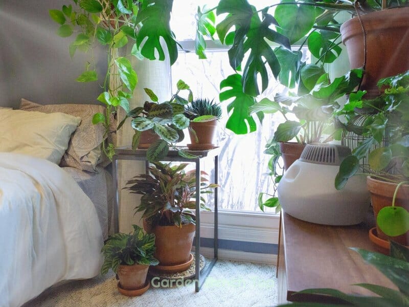 what is a humidity tray