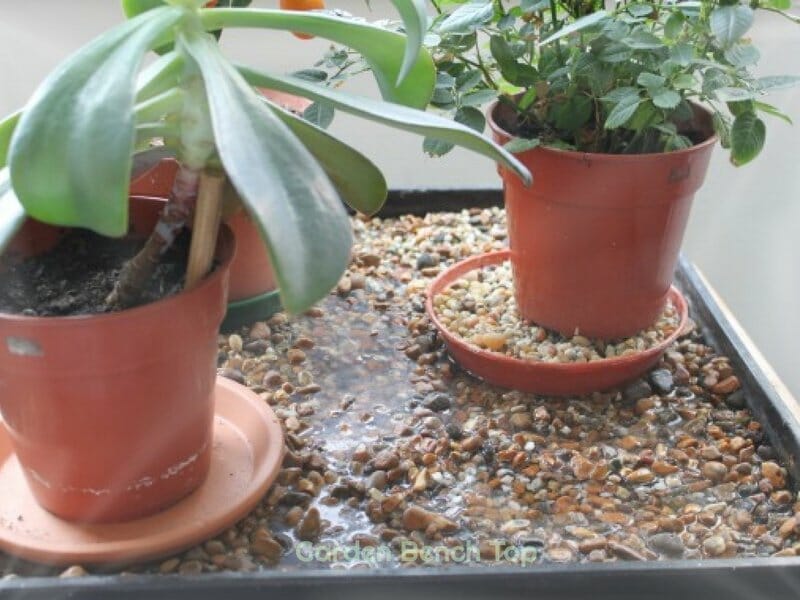 water tray vs humidity tray