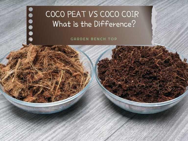 Coco Peat vs Coco Coir