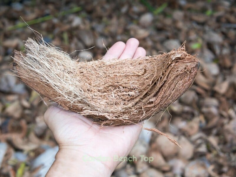How to Make Coco peat at Home