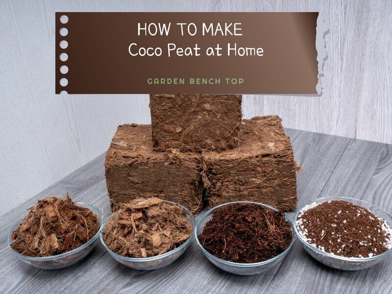 How to make cocopeat at home