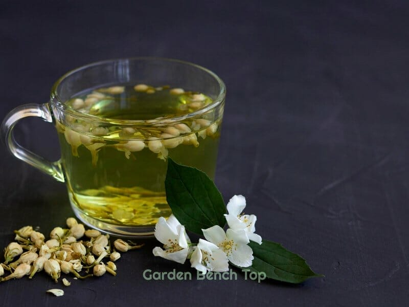 Jasmine Flower Tea