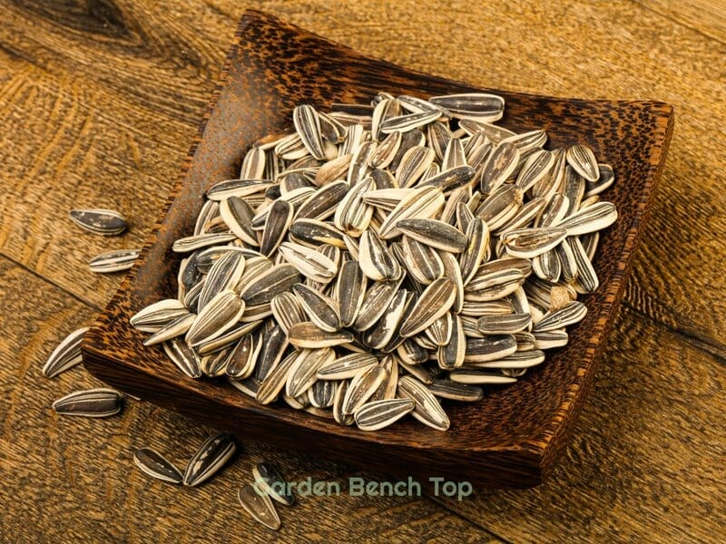Sunflower seeds for eating