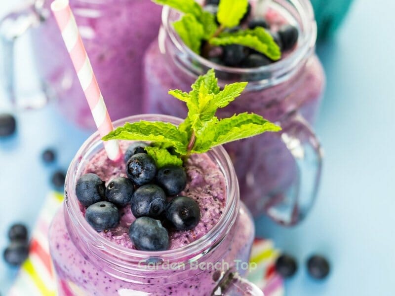 blueberries fruit smoothies