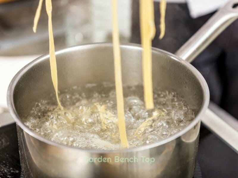Benefits of pasta water for garden