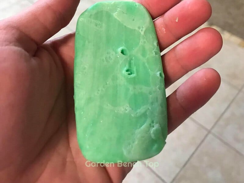 irish spring soap in hand