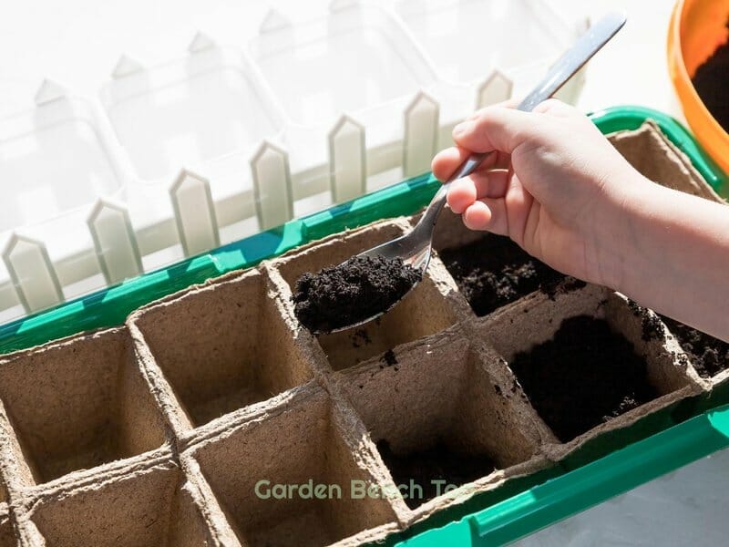 Seedling Tray for banana seeds