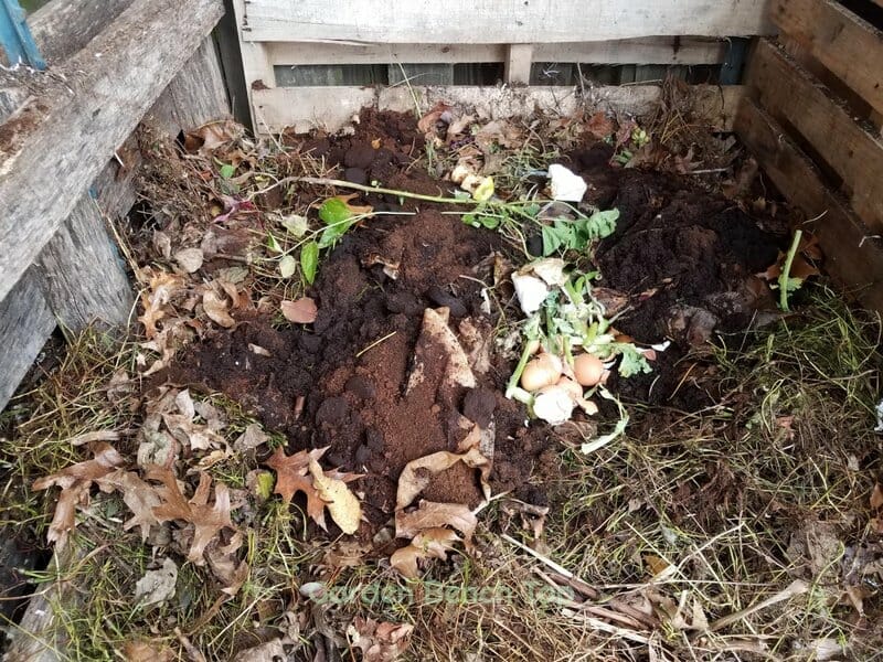 Used Coffee in Compost Pile