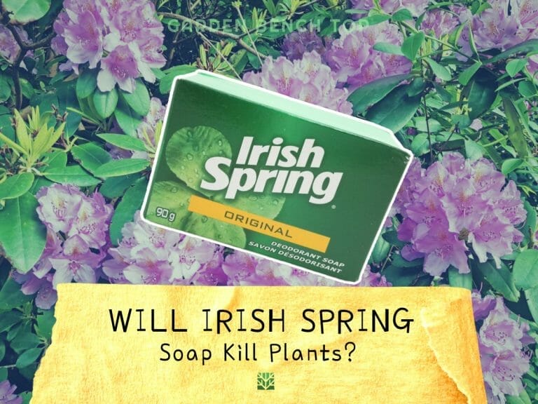 Will Irish Spring Soap Kill Plants cover