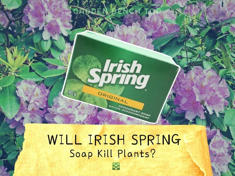 Will Irish Spring Soap Kill Plants