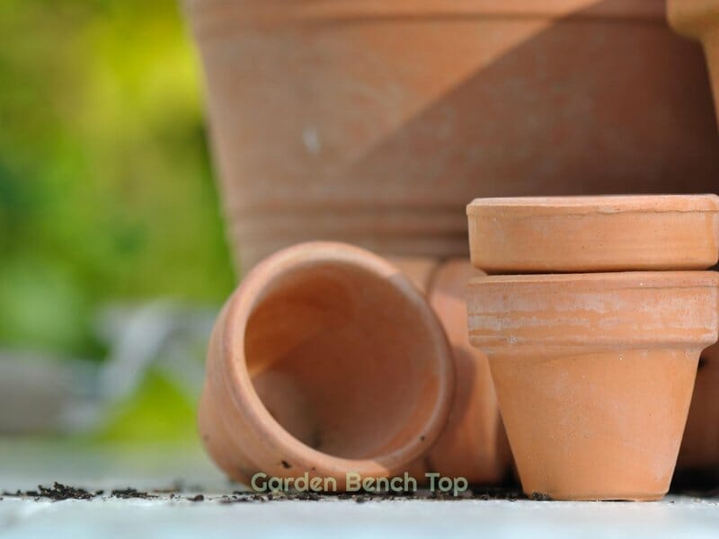 terracotta pots for snake plants
