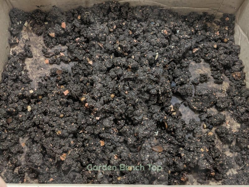 worm castings in a box
