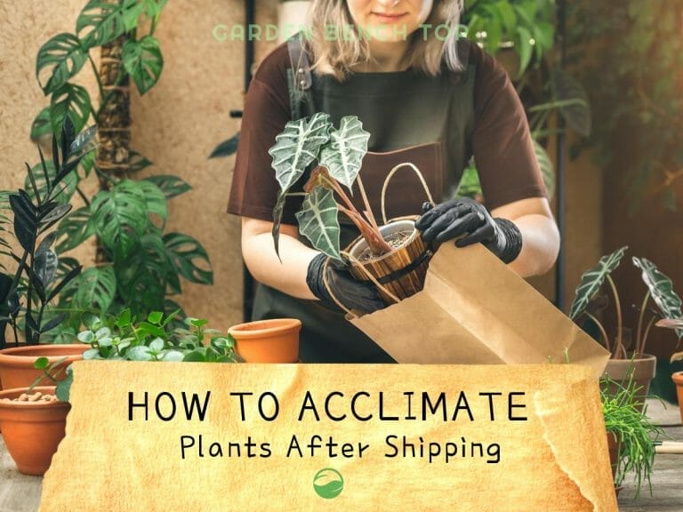 How to Acclimate Plants After Shipping