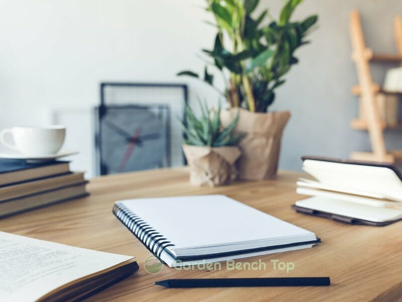 benefit of snake plant home office