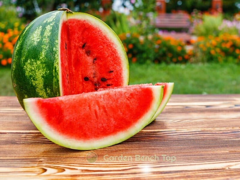 cut watermelon with pink flesh