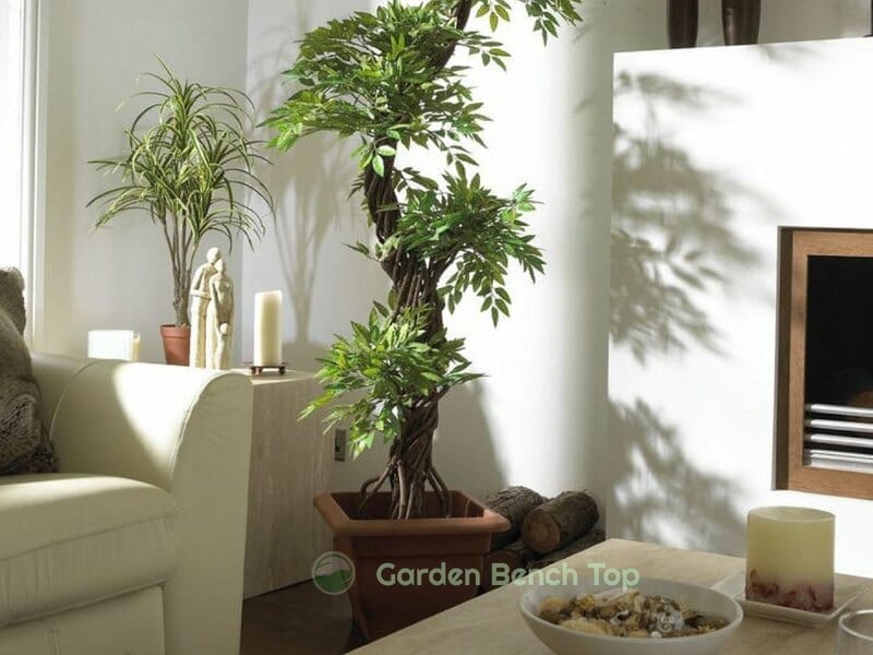 Beautiful Artificial Plant