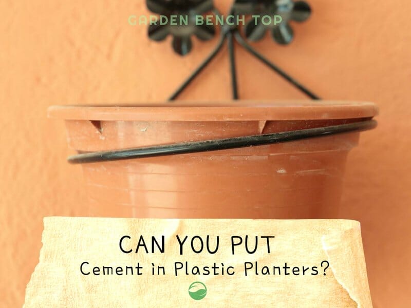 Can You Put Cement in Plastic Pots