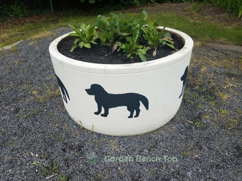 Fill Large Planters with Cement