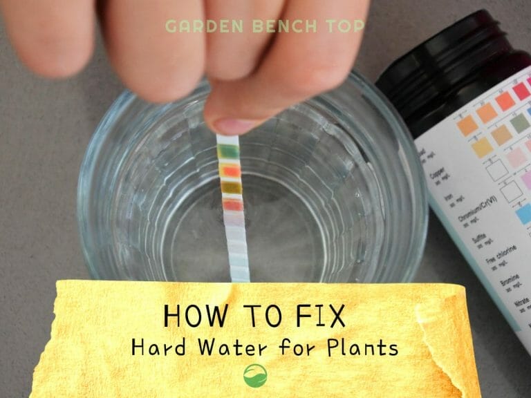 How to Fix Hard Water for Plants cover