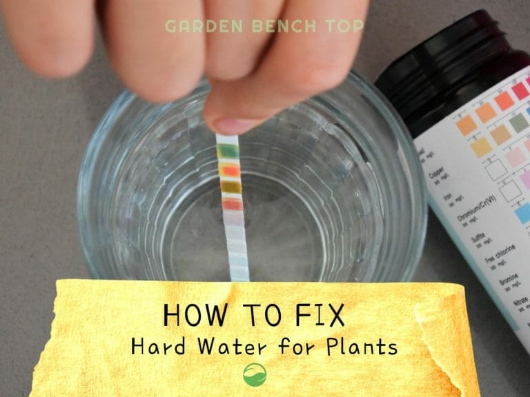 How to Fix Hard Water for Plants