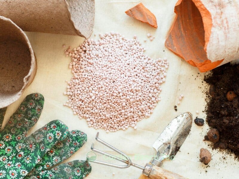 slow release fertilizer