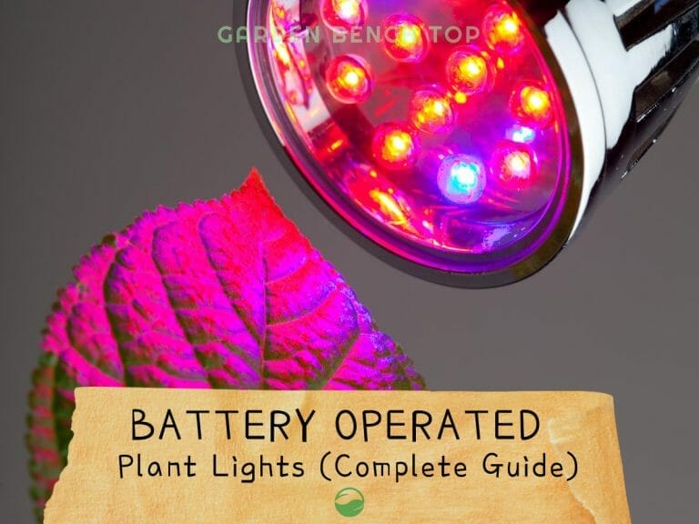 Battery Powered Plant Light