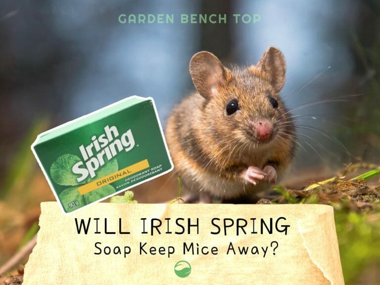 Will Irish Spring Keep Mice Away