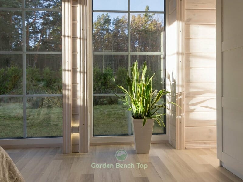 indoor plants help to connect spiritually