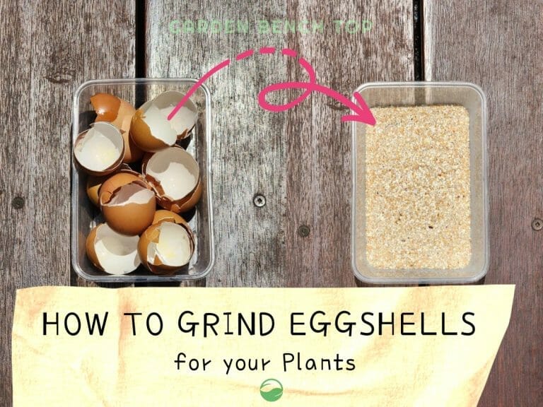 How to Grind Eggshells for Plants