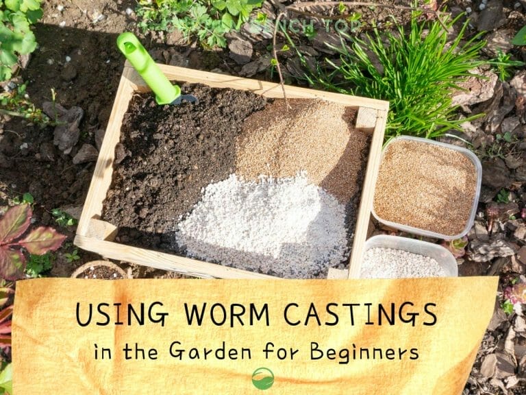 How to Use Worm Castings cover