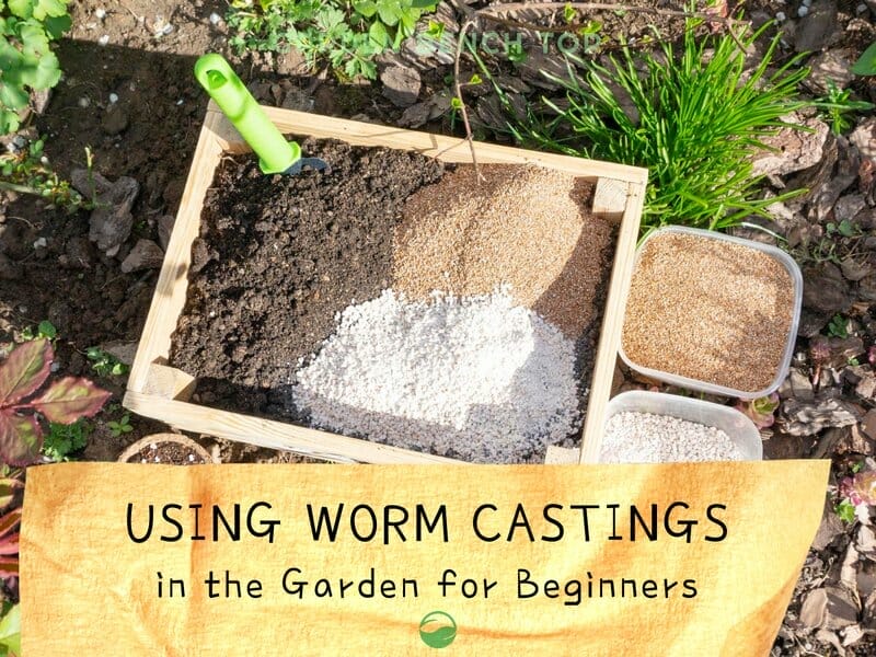 How to Use Worm Castings